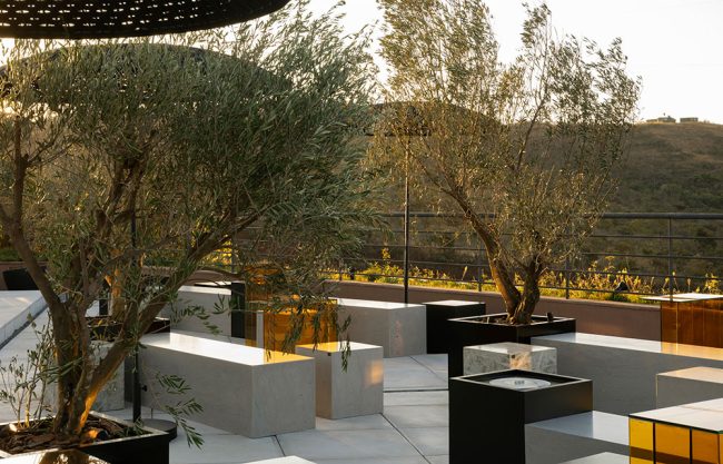 katrosapaisagismo_JBF2492