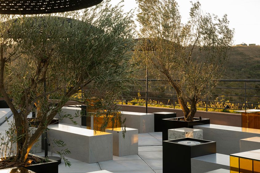 katrosapaisagismo_JBF2492