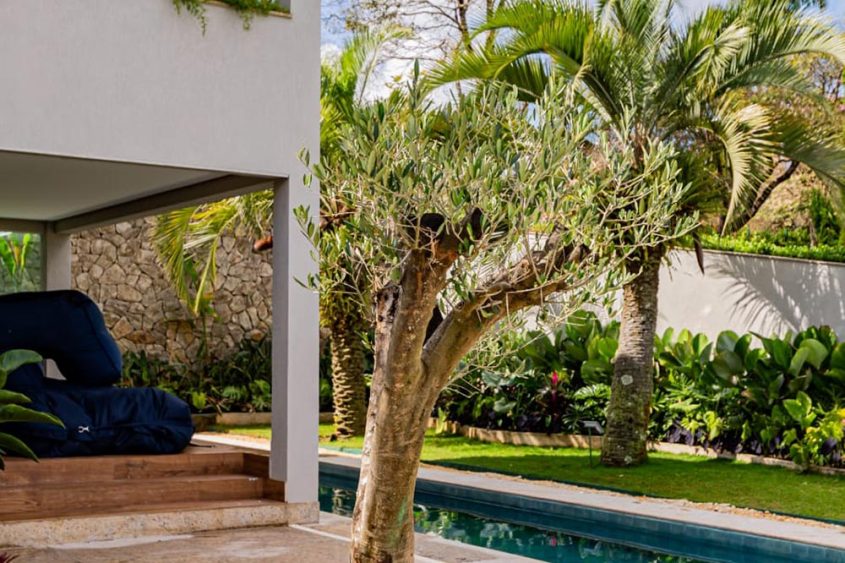 katrosapaisagismo-plantas-externas6