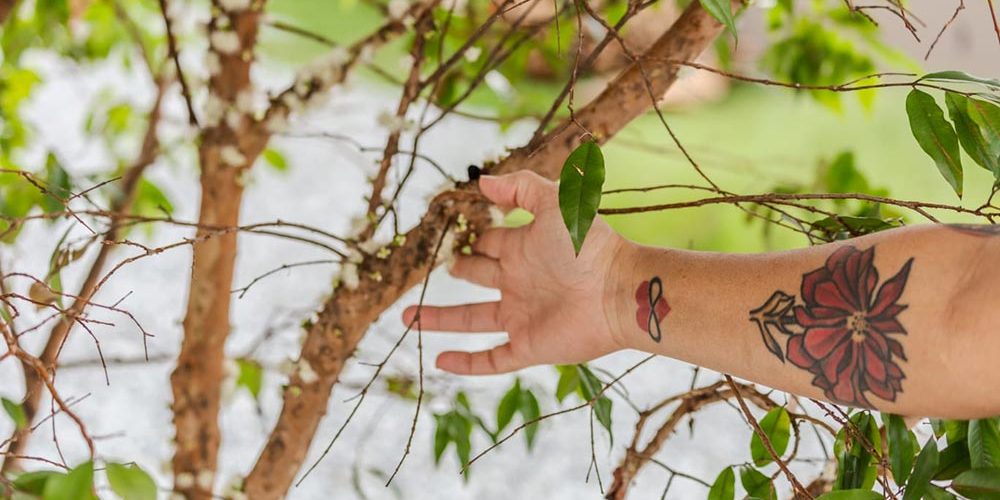 katrosapaisagismo-p1