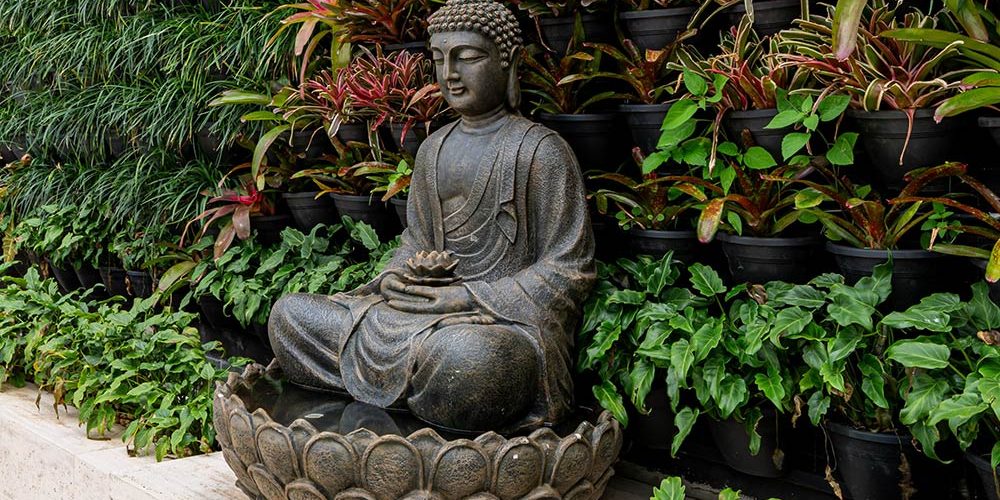 katrosapaisagismo-plantas-externas7