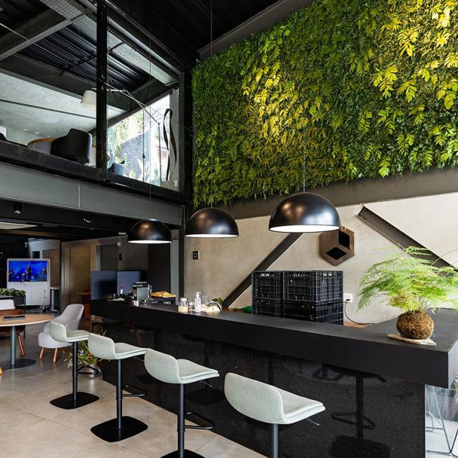 katrosapaisagismo-plantas-comerciais1