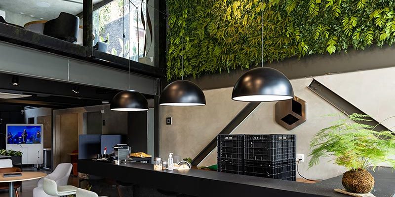 katrosapaisagismo-plantas-comerciais1