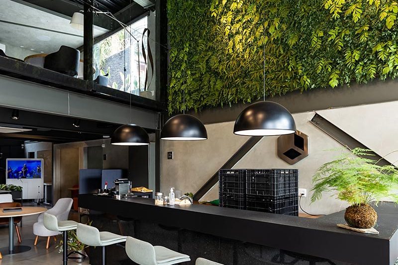 katrosapaisagismo-plantas-comerciais1