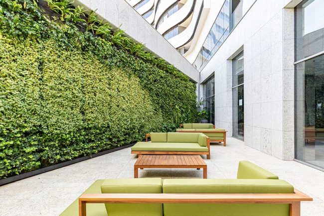 katrosapaisagismo-plantas-jardins1