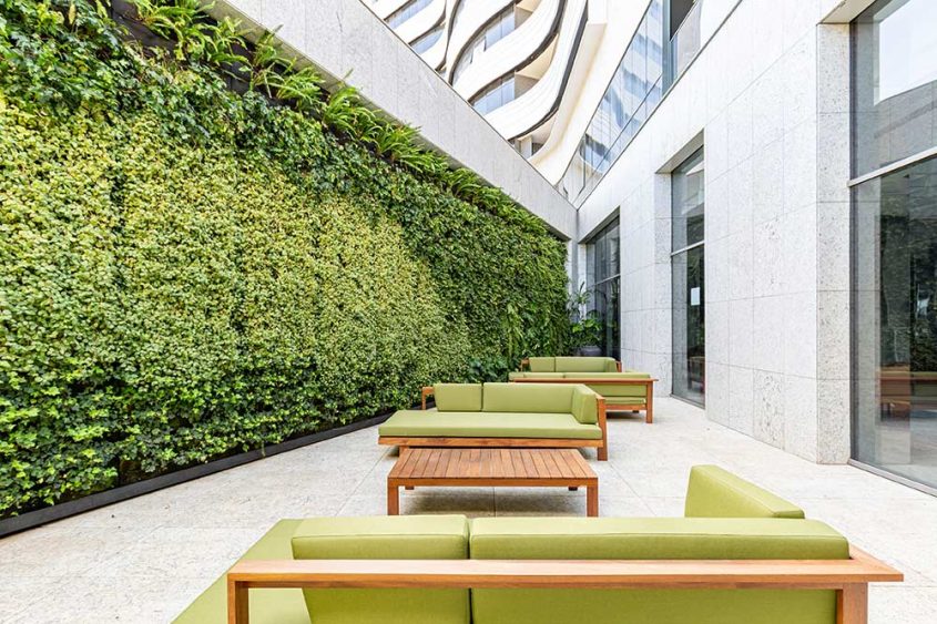 katrosapaisagismo-plantas-jardins1